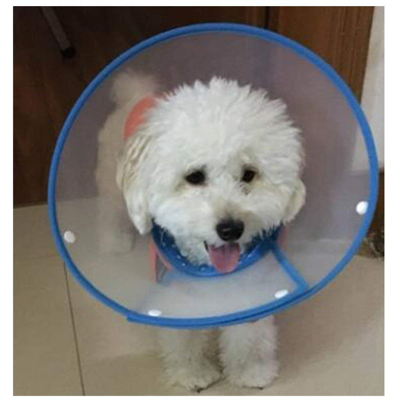 Bolbove Pet Plastic Clear Cone Recovery E-Collar with Dots Design Soft Edge for Small Dogs & Cats Blue - PawsPlanet Australia