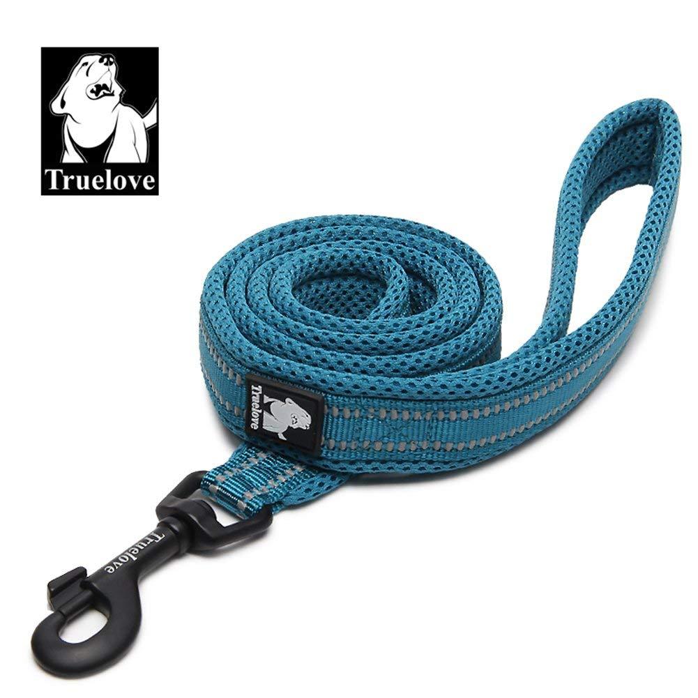 [Australia] - TRUE LOVE Reflective Dog Leash Puppy Walking Lead, Padded Pet Chain Rope，Length 200cm Truelove TLL2111 L Blue 