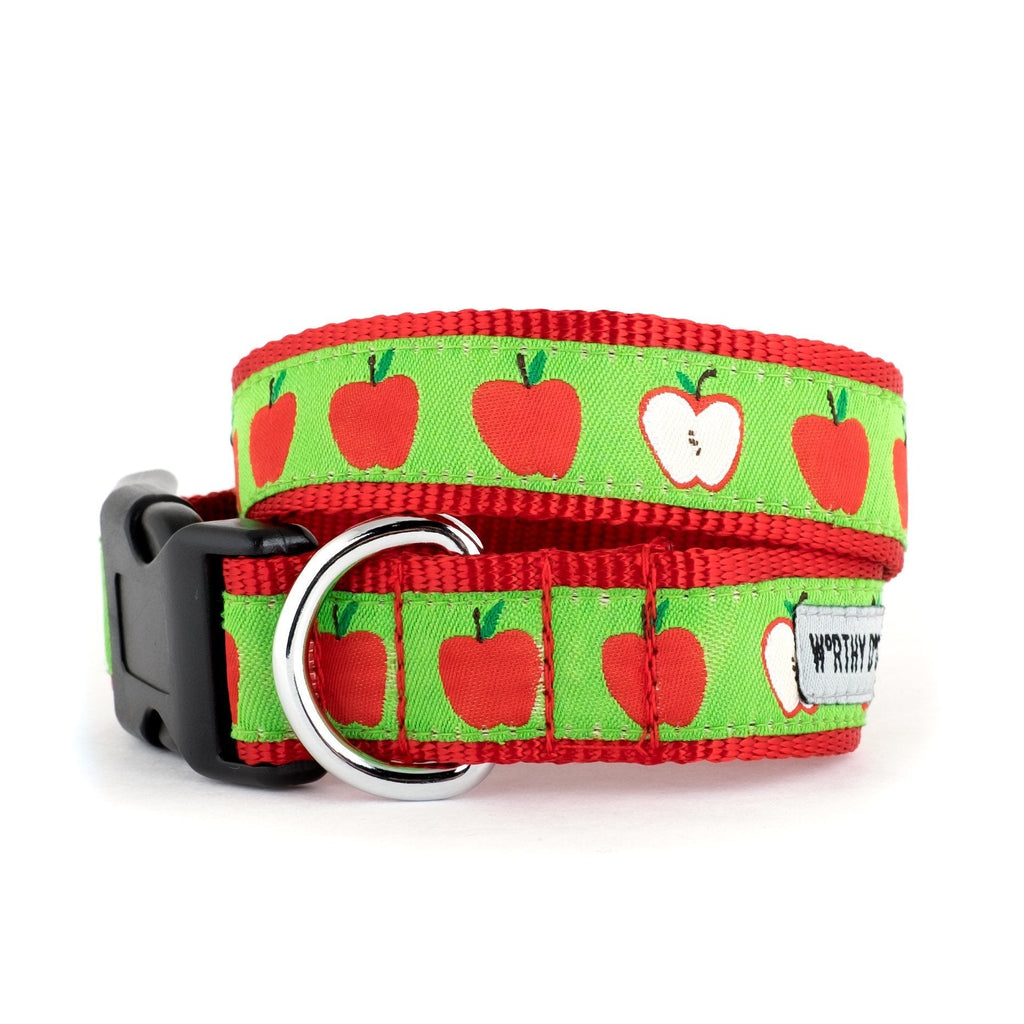 [Australia] - The Worthy Dog Red Apples Designer Adjustable and Comfortable Nylon Webbing, Side Release Buckle Collar for Dogs - Fits Small, Medium and Large Dogs, Green Color 