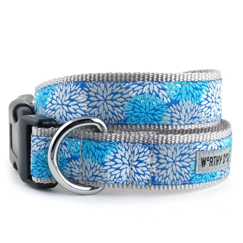[Australia] - The Worthy Dog Mum's The Word, Flower Pattern Designer Adjustable and Comfortable Nylon Webbing, Side Release Buckle Collar for Dogs - Fits Small, Medium and Large Dogs, Blue Color Blue, M 