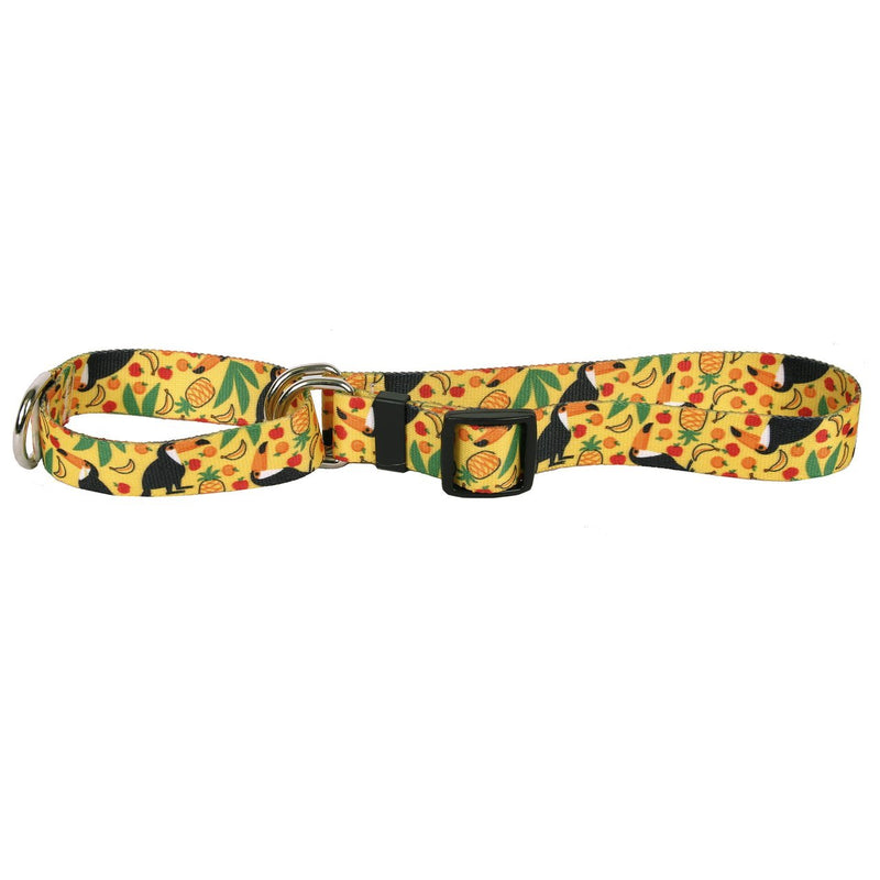 [Australia] - Yellow Dog Design Fruity Tucan Martingale Dog Collar Large 26" 