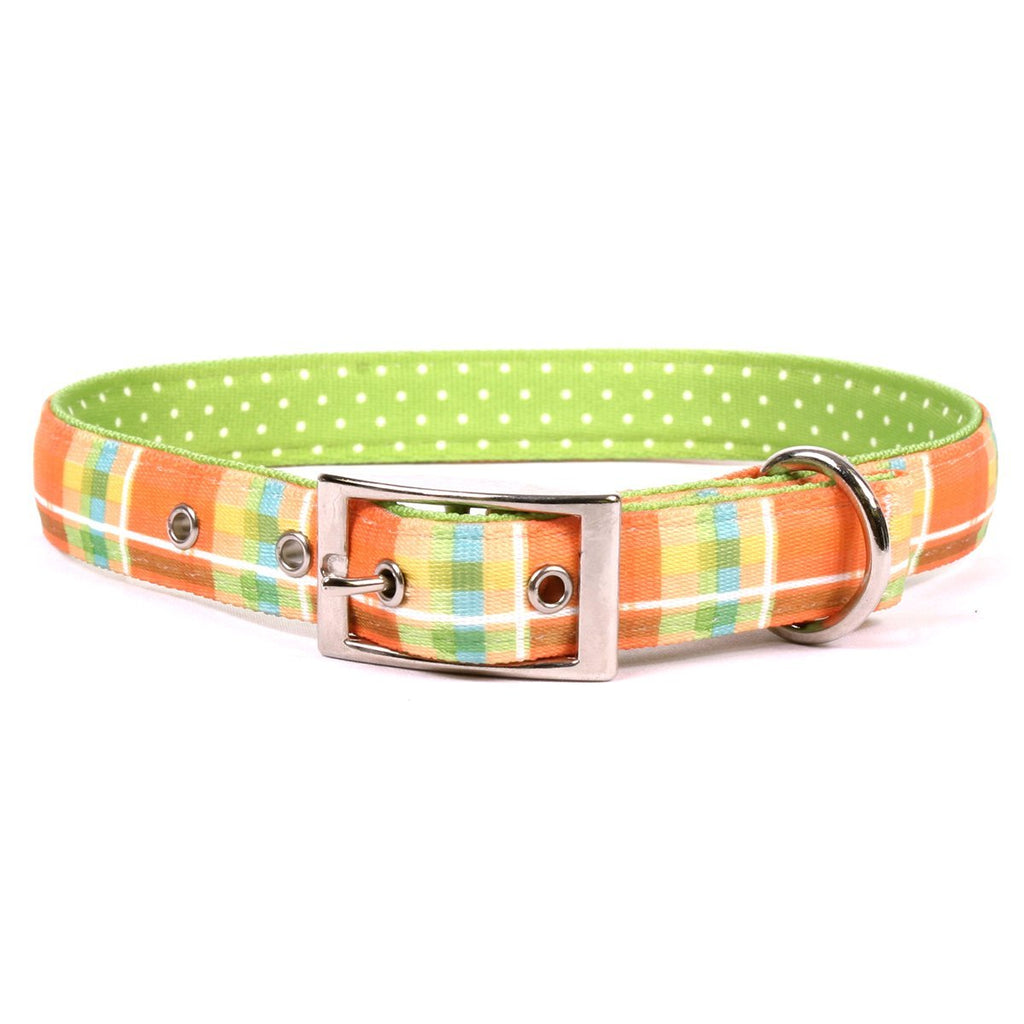 [Australia] - Yellow Dog Design Madras Orange Uptown Dog Collar Medium 19" 