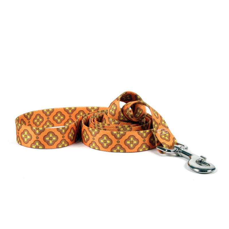 [Australia] - Yellow Dog Design Cleo Orange Dog Leash 3/8" x 60" (5 feet) Long 