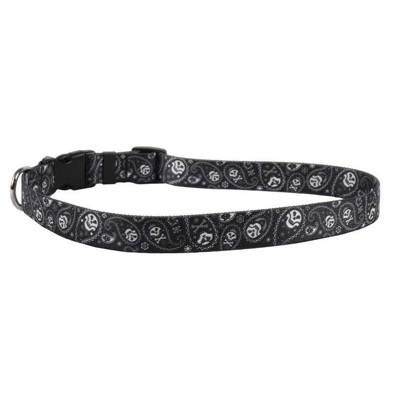 [Australia] - Yellow Dog Design Standard Dog Collar Paisley Skull Medium 14" - 20" (1" Wide) Paisley Skulls Black 