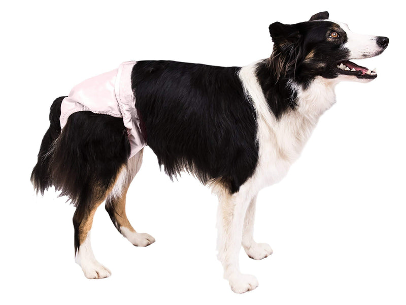 [Australia] - Pooch Pads PPME01PK Pink PoochPants Diaper, Medium/15 to 32 lb 