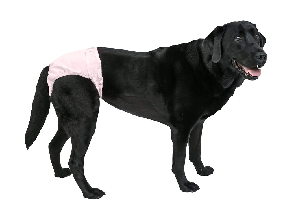 [Australia] - Pooch Pads PPLG01PK Pink PoochPants Diaper, Large/33 to 55 lb 