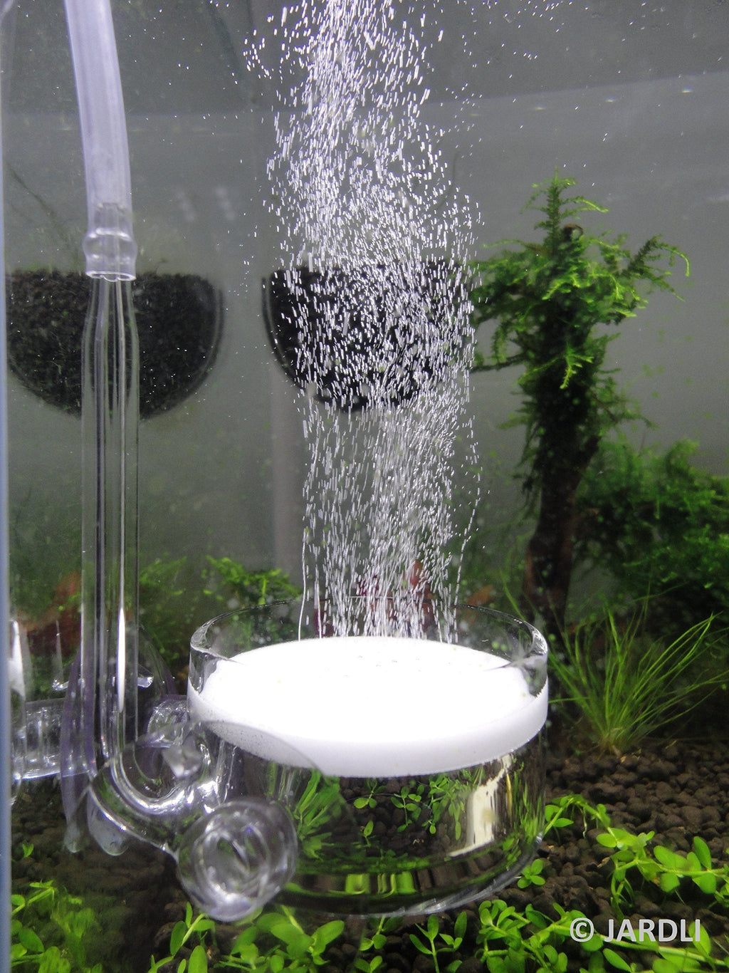 [Australia] - JARDLI Pollen Glass CO2 Diffuser with U-Shape Connecting Tube for Aquarium Planted Tank 1.5" for 20 - 50 US gallons 