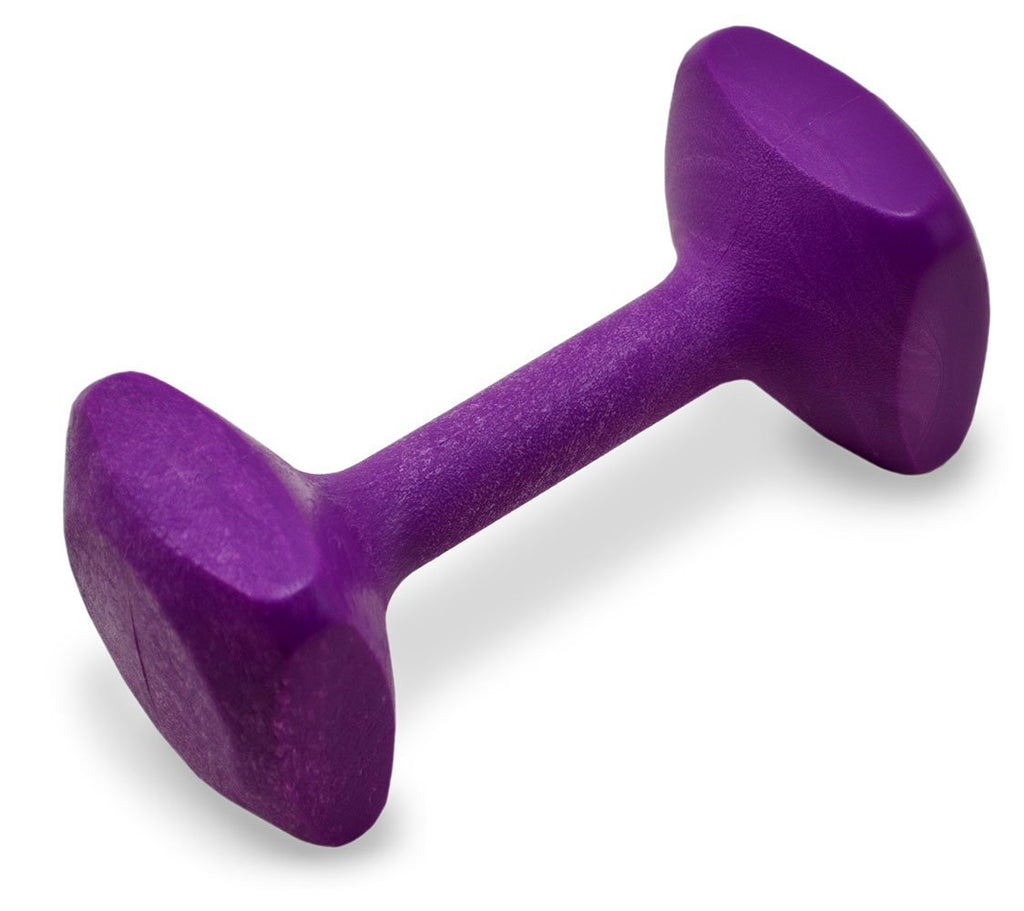 [Australia] - J&J Dog Supplies Obendience Retrieving Dumbell with 2" Ends Purple X-Small 