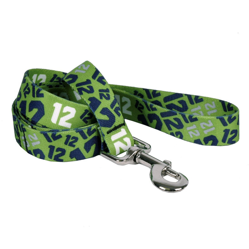 [Australia] - Yellow Dog Design 12Th Dog Green Dog Leash 3/4" x 60" (5 feet) Long 