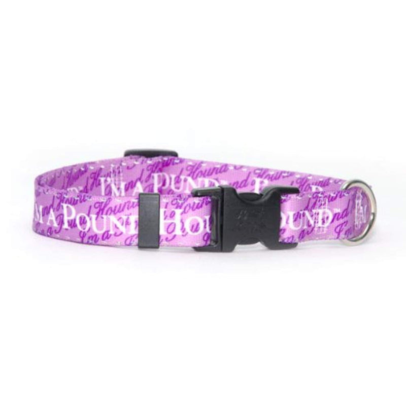 [Australia] - Yellow Dog Design Pound Hound Dog Collar Small 10" - 14" 