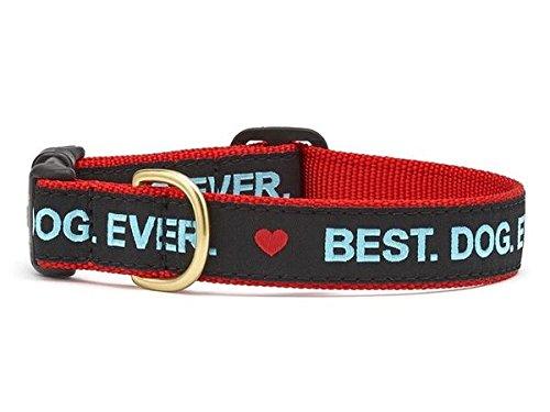 [Australia] - Up Country Best Dog Ever Collar Medium 