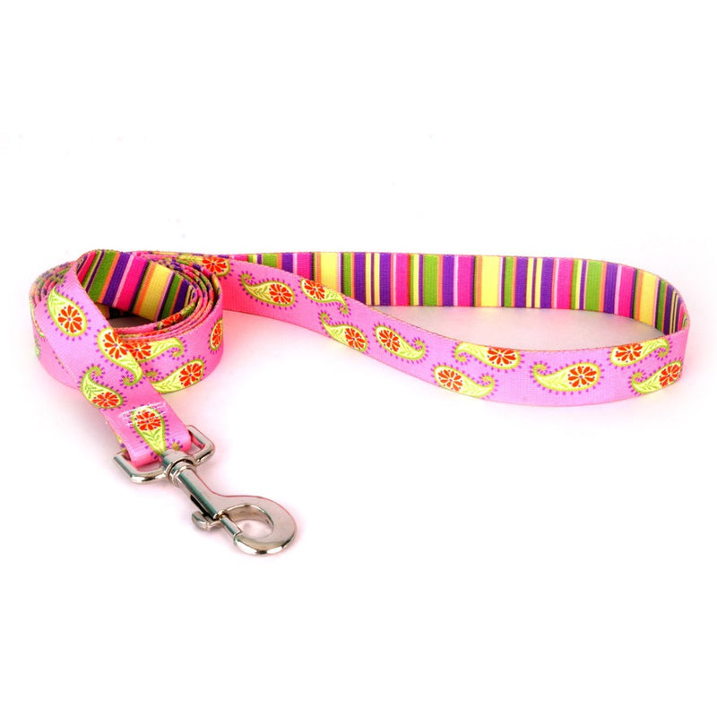 [Australia] - Yellow Dog Design Pink Paisley Dog Leash 1" x 60" (5 feet) Long 