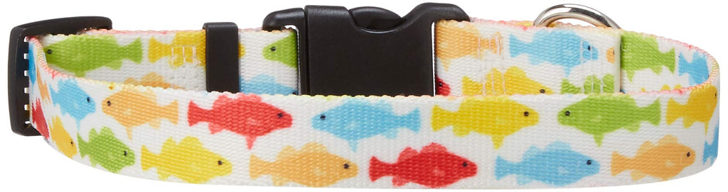 [Australia] - Yellow Dog Design Rainbow Fish White Dog Collar Small 10" - 14" 