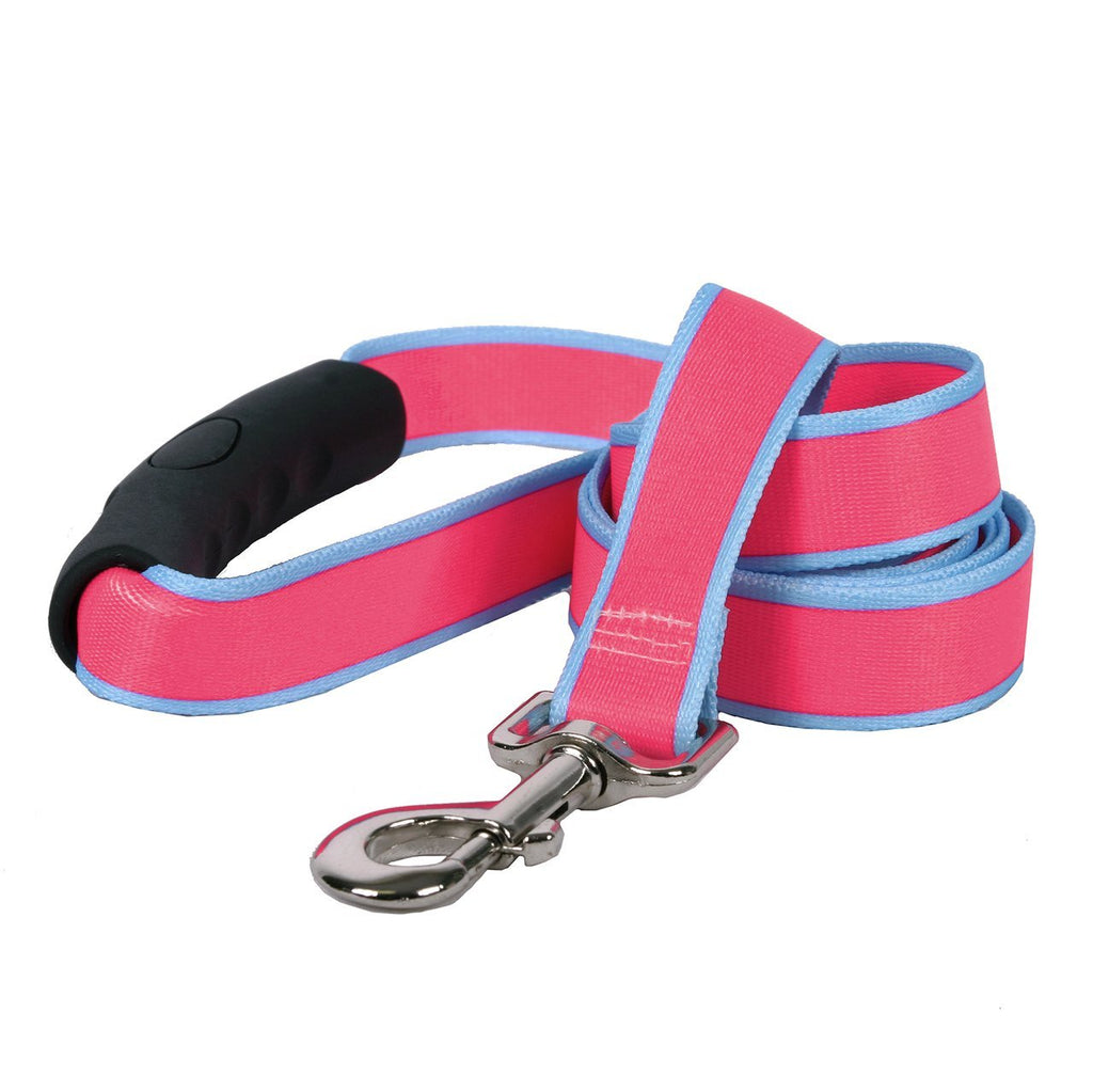 [Australia] - Yellow Dog Design Sterling Stripes Pink Light Blue Dog Leash with Comfort Grip Handle 1" x 60" (5 feet) Long 