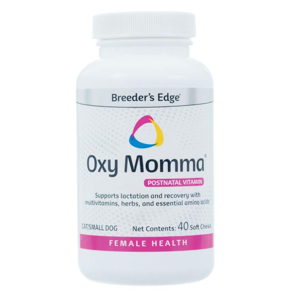 Revival Animal Health Breeder's Edge Oxy Momma- Nursing & Recovery Supplement - 40ct Soft Chews Small Dogs & Cats - PawsPlanet Australia