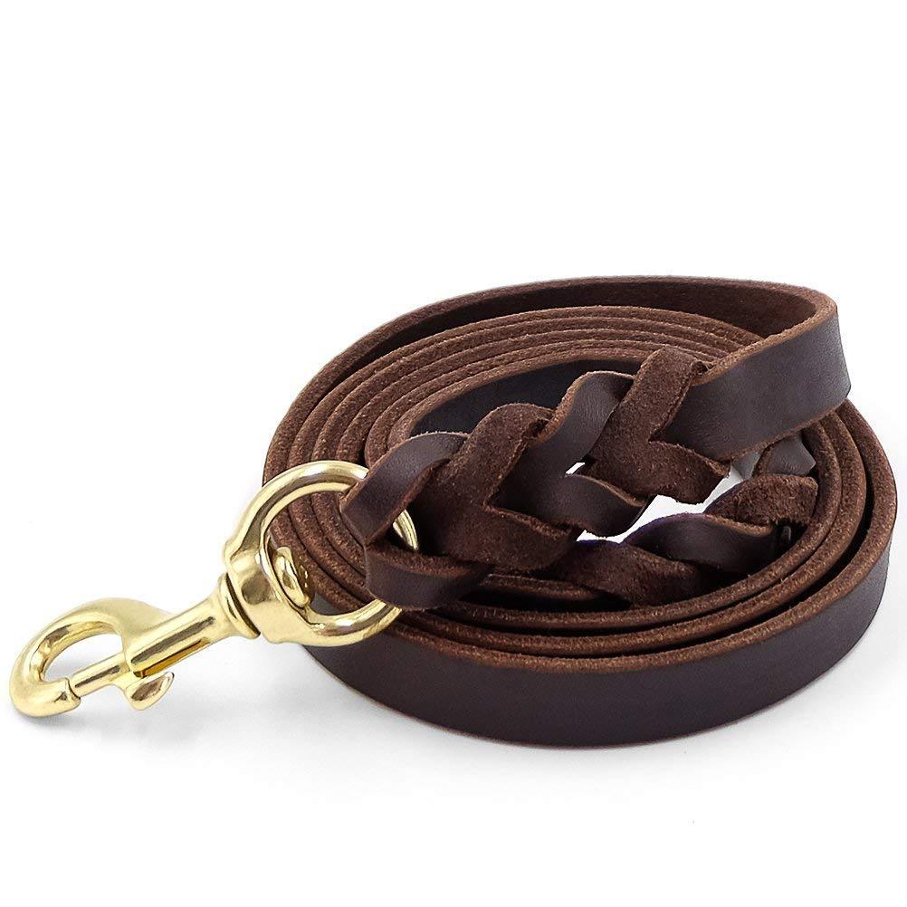 [Australia] - Fairwin Leather Dog Leash 6 Foot - Braided Heavy Duty Training Leash for Large Medium Small Dogs Running and Walking M:Width:5/8" Brown 