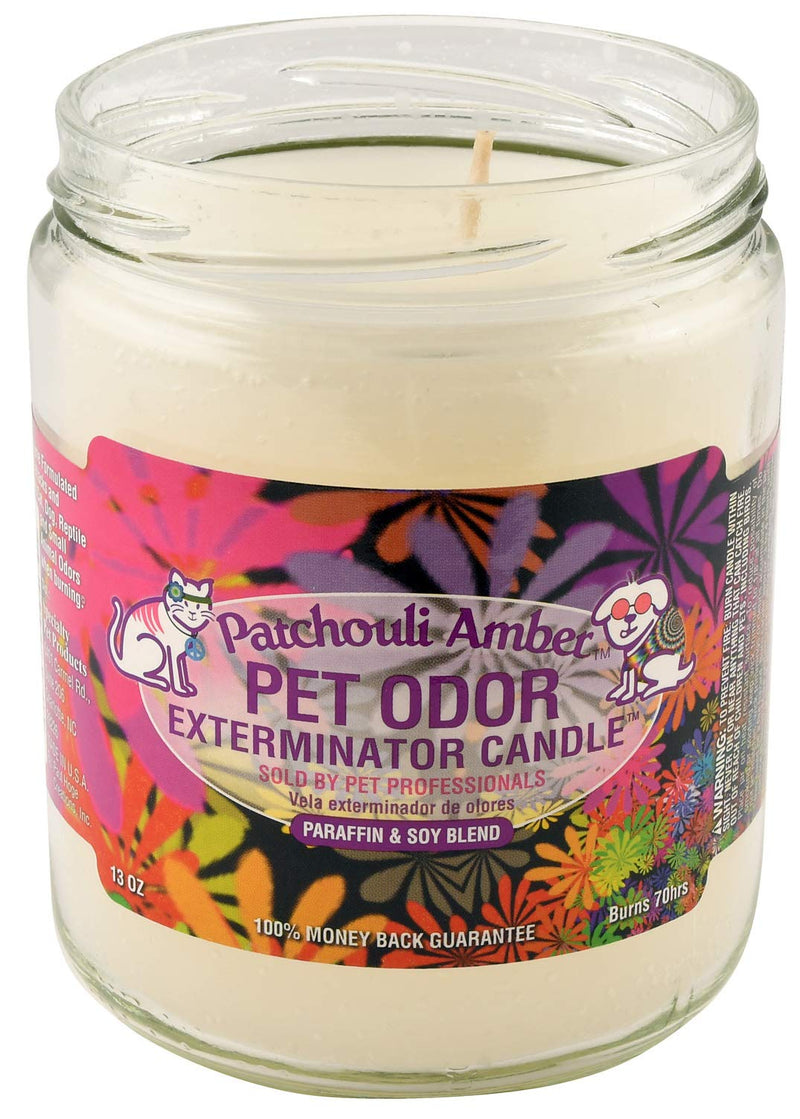 SPECIALTY PET PRODUCTS Amber Patchouli Pet Odor Exterminator 13 Ounce Jar Candle (Amber Patchouli, 1) - PawsPlanet Australia
