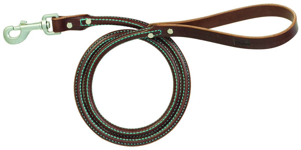 [Australia] - Terrain D.O.G. Bridle Leather Rolled Dog Leash Hurricane Blue Stitching 3/4" x 6' 