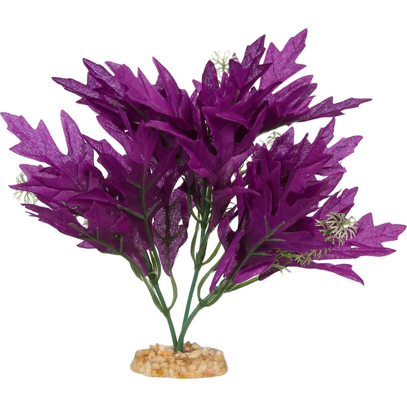[Australia] - Imagitarium Purple Bunch Silk Aquarium Plant, Medium Standard 