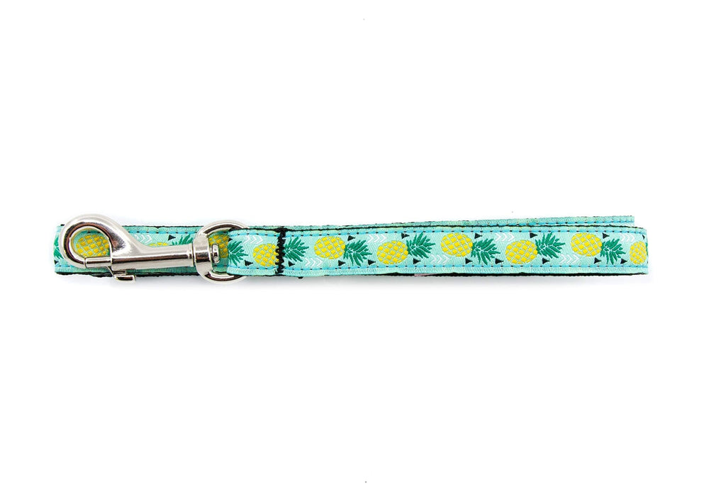 RC Pet Products Kitty Cat Leash, 1/2 Inch by 6 Feet Pineapple Parade - PawsPlanet Australia