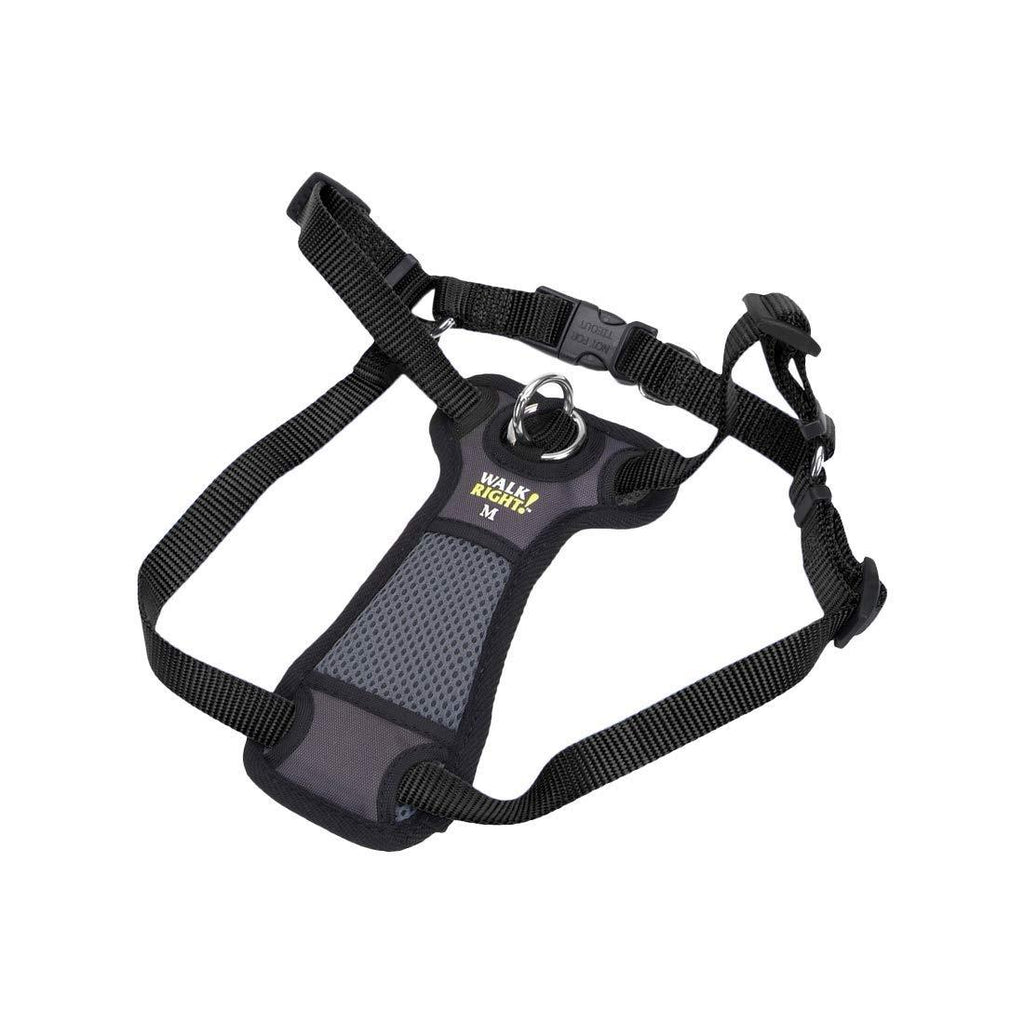 [Australia] - Coastal Pet Walk Right! Front-Connect Padded Dog Harness Medium - 20"-30" girth Black 