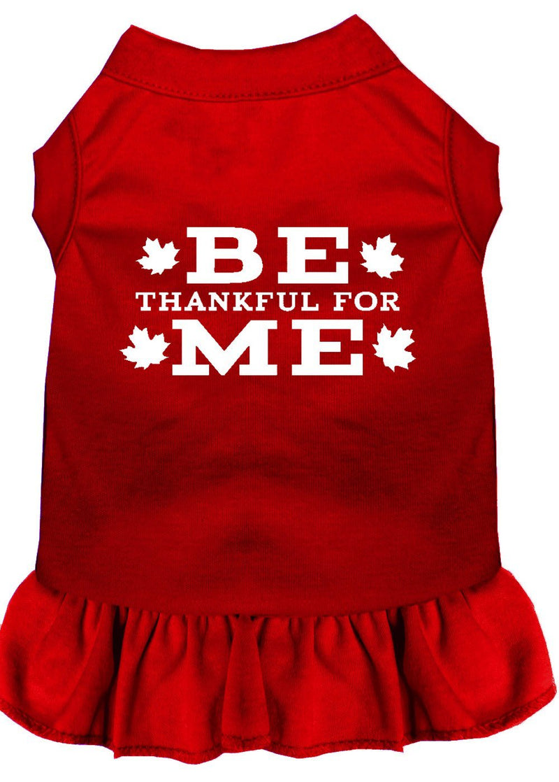 [Australia] - Mirage Pet Products 57-46 4XRD Red 4 Be Thankful for Me Screen Print Dress, 4X-Large 