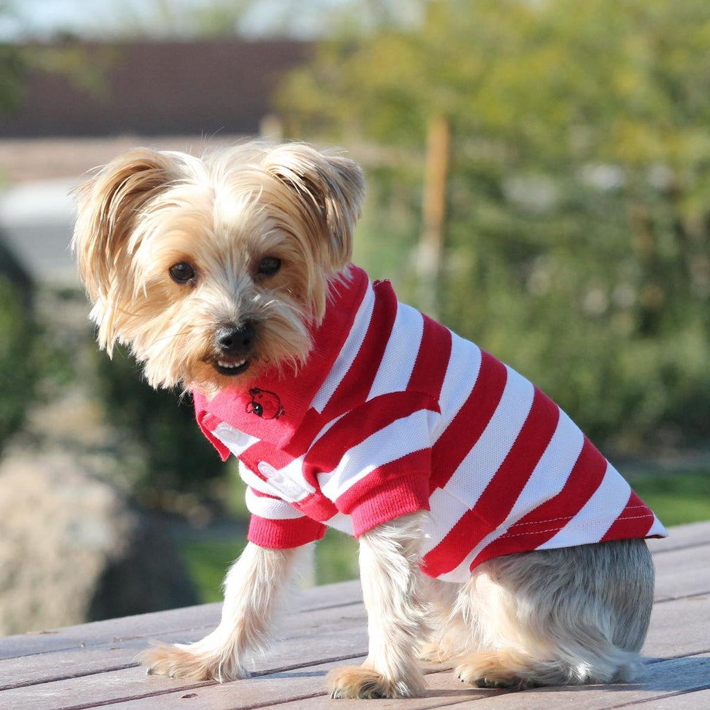 [Australia] - DOGGIE DESIGN 100% Cotton Striped Dog Polos with Embroidered Fun Dog Face on Collar Flame Scarlet Red and White Large 