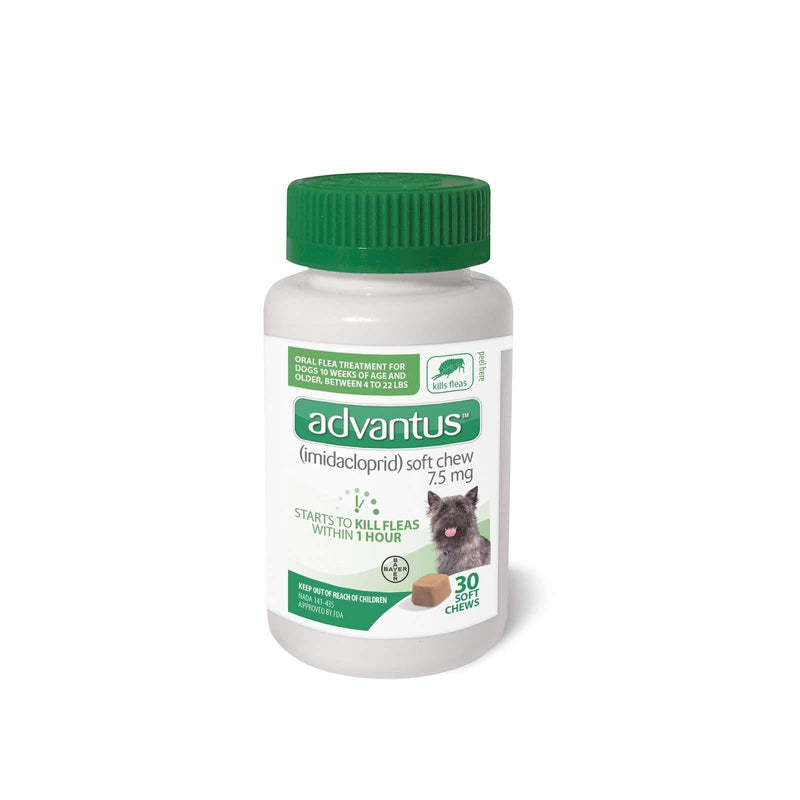 ADVANTUS CORPORATION Advantus Flea Soft Chews for Small Dogs 4-22 Pounds, 30 count - PawsPlanet Australia