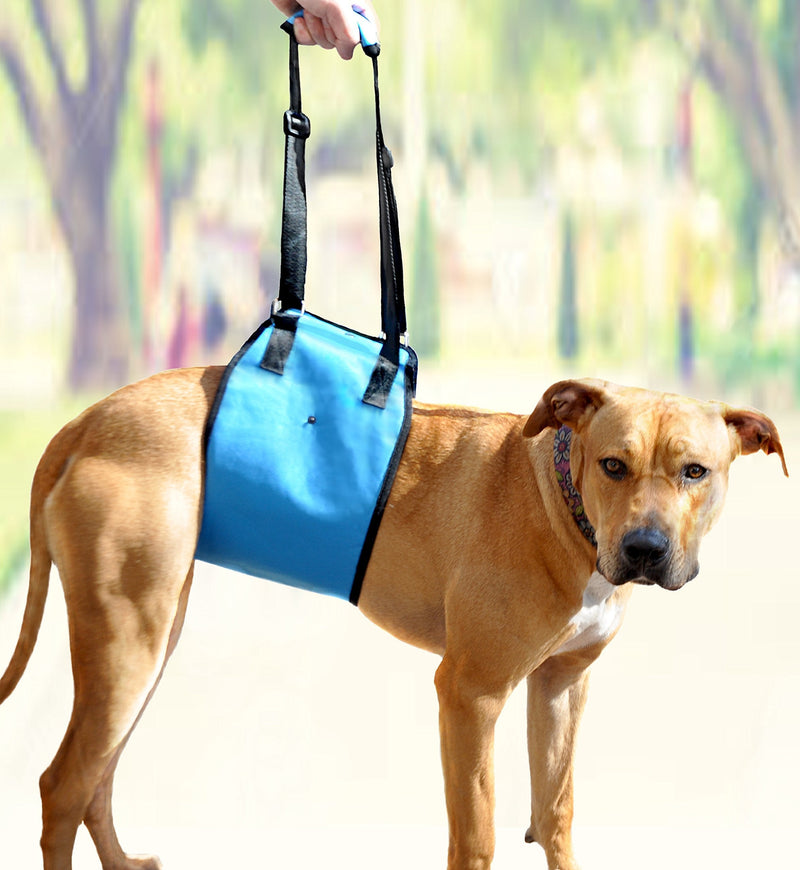 [Australia] - AMZpets Dog Lift Harness Support Sling Helps Dogs with Weak Front or Rear Legs Stand Up, Walk, Get Into Cars, Climb Stairs. Best Alternative to Dog Wheelchair X-Small 