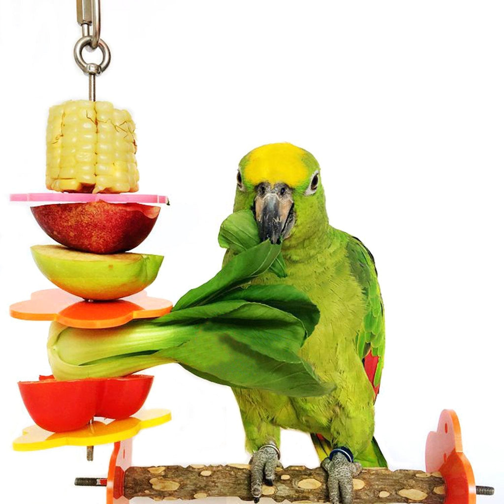 [Australia] - RYPET Bird Skewer,Bird & Small Animals Stainless Steel Fruit Vegetable Holder for Cages Length:7.87" 