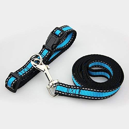 [Australia] - PetsCaptain Reflective Dog Leash and Collar Set, Small & Medium Size Leash 1" x 48"; Collar 1" x Neck Size 14" ~ 22 Blue Black 