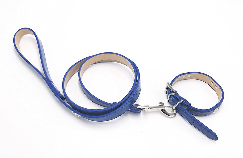 [Australia] - PetsCaptain Stylish Leather Pet Supplies Dog and Cat Leash with Collar Set Small Blue 