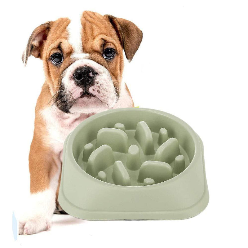 [Australia] - DotPet Slow Feeder Bowl, Fun Interactive Feeder Bloat Stop Dog Bowl Preventing Feeder Anti Gulping Drink Water Bowl Fan Shape Healthy Eating Diet for Pet Puppy Green 