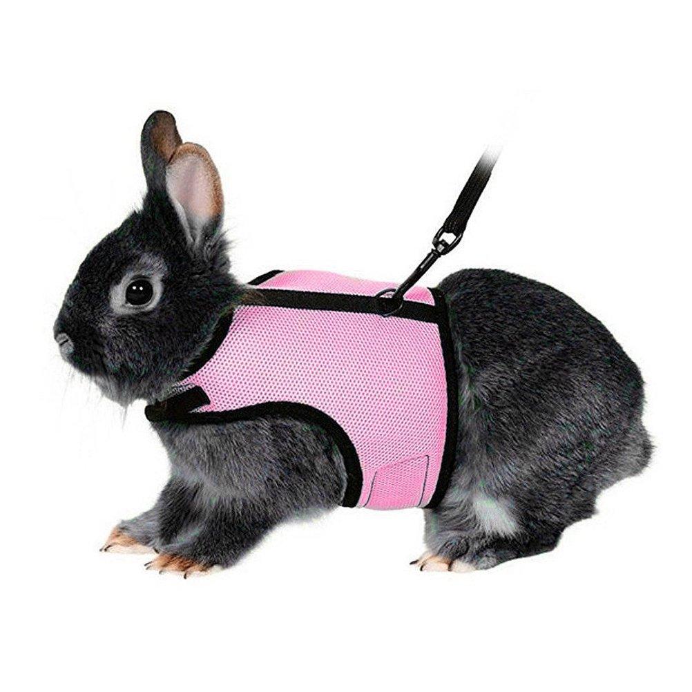 UEETEK Soft Harness with Lead for Rabbits Bunny Elastic Length 47 inch - Size L( Pink ) - PawsPlanet Australia