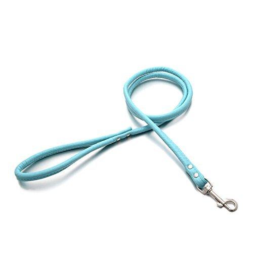 [Australia] - Smoosky Pet Supplies Round Colorful Leather Rolled Dog Puppy Walking Leashes for Small Medium Breeds S Blue 