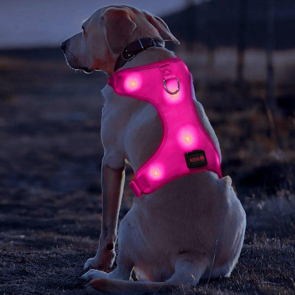 [Australia] - BSEEN LED Dog Harness LED Dog Vest USB Rechargeable Soft Mesh Vest with Adjustable Belt Padded Lightweight for Large Medium Small Dogs M(Neck:15” 3/4-21”in/Chest Girth:21”1/2-31 1/2in) Rose Red 