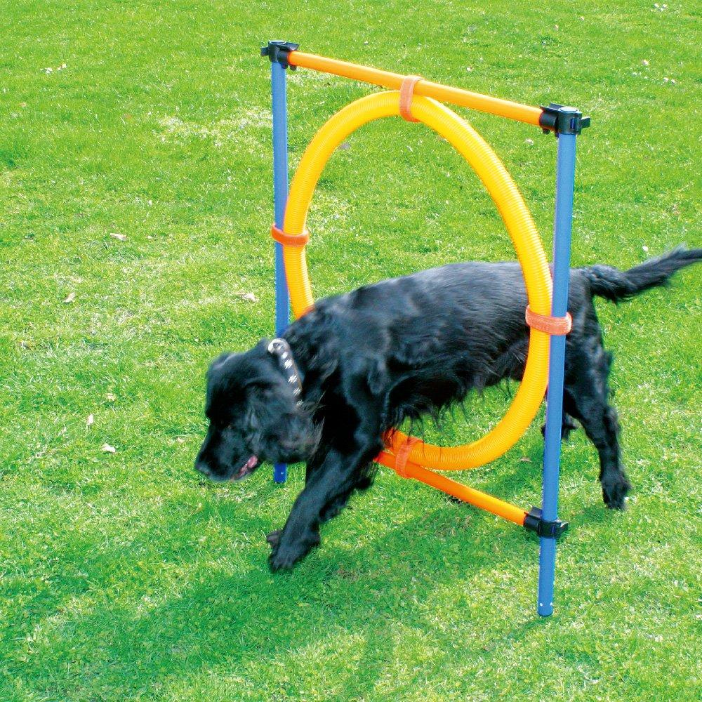 PAWISE Pet Dogs Outdoor Games Agility Exercise Training Equipment Pet Training Ajustable Height Jumping Ring - PawsPlanet Australia