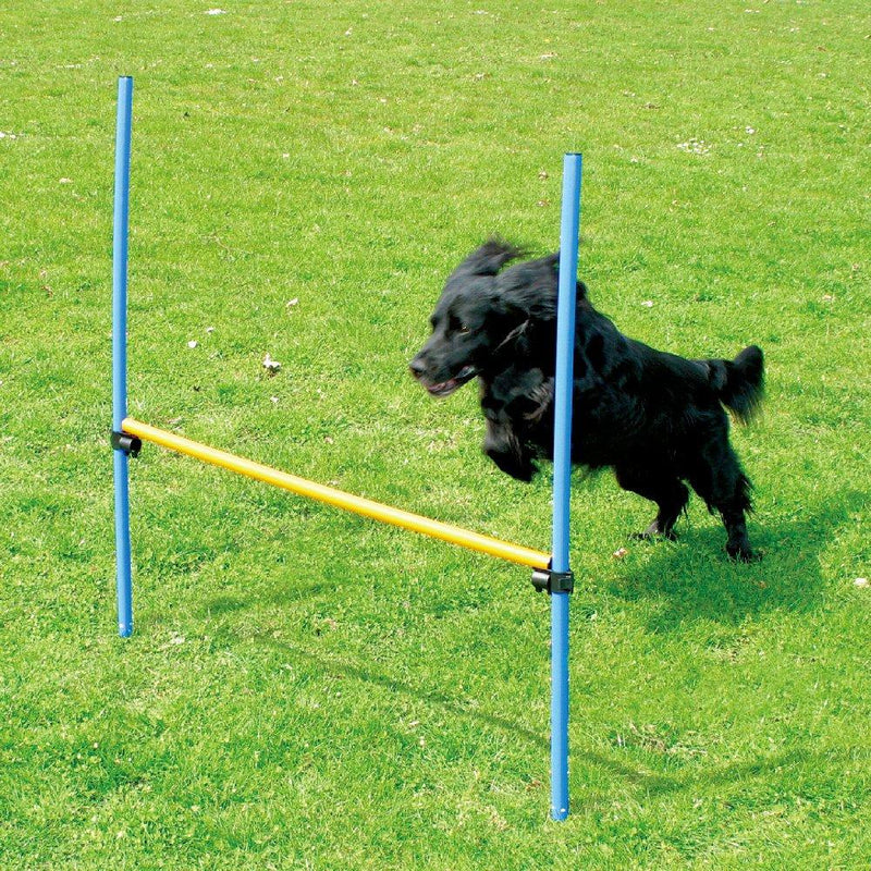 PAWISE Pet Dogs Outdoor Games Agility Exercise Training Equipment Pet Training Ajustable Height Jump Hurdle Bar - PawsPlanet Australia