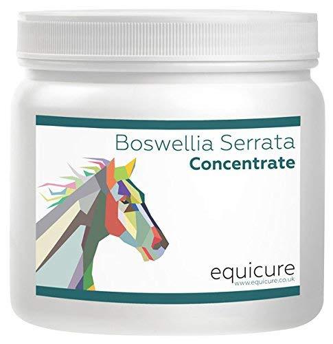 Equicure Pure Boswellia Serrata 30x Concentrate - Natural Anti-Inflammatory and Pain Relief For Horse/Pony (150g) 150 g (Pack of 1) - PawsPlanet Australia