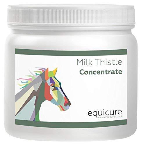 Equicure Pure Milk Thistle 40x Concentrate - Liver Support and Detoxification For Horse/Pony 100 g (Pack of 1) - PawsPlanet Australia