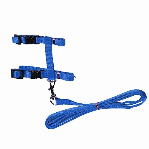 [Australia] - Gozier Pet Lead Leash Halter Harness Adjustable Safety Nylon Rope Strap Belt for Dog Cat Kitten BLUE 