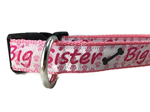 [Australia] - CANINEDESIGN QUALITY DOG COLLARS Sibling Dog Collar, Caninedesign, Brother, Sister, Quick Release Buckle, 1 inch Wide, Adjustable, Nylon, Medium and Large Big Sister Large 15-22" 
