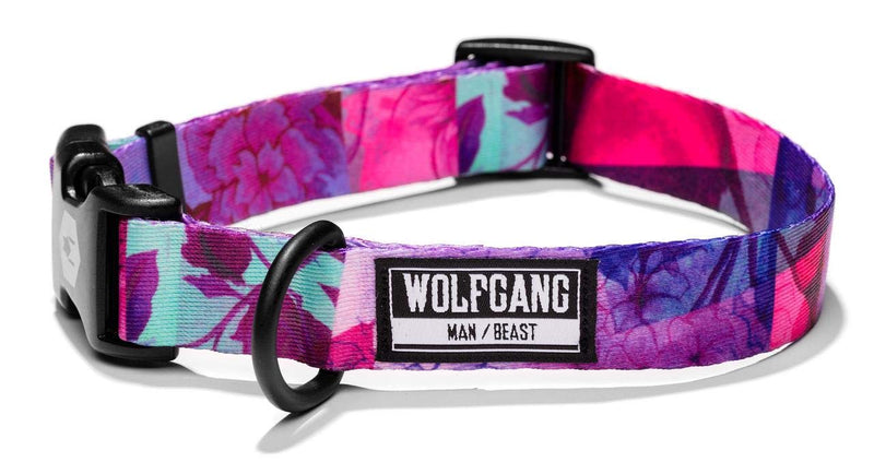 Wolfgang Man & Beast Premium USA Webbing Dog Collar, DayDream Print, Small (5/8 Inch x 8-12 Inch) Small (5/8 Inch x 8-12 Inch) - PawsPlanet Australia