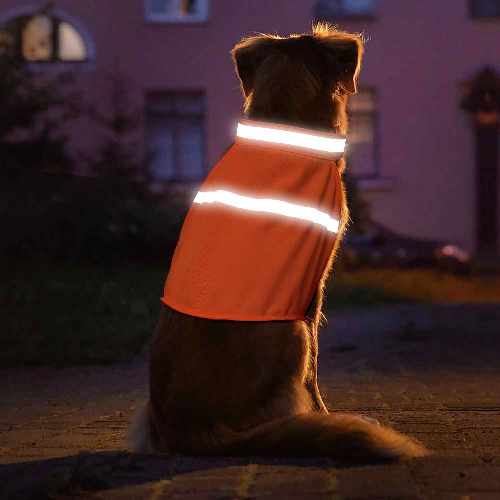 [Australia] - VIZPET Reflective Dog Vest with Lightweight Adjustable Strap & Comfortable Material Ideal to Keep Dogs Safe While Walking & Hunting Large orange 