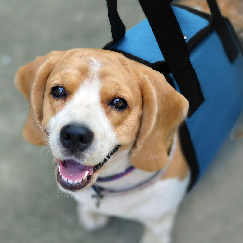 [Australia] - Dog Lift Support Harness Canine Aid - Lifting Older K9 w/ Handle for Injuries, Orthopedic Arthritis or Weak hind legs & Joints. Small / Medium/ Large Breed Assist Sling for Mobility & Rehabilitation 