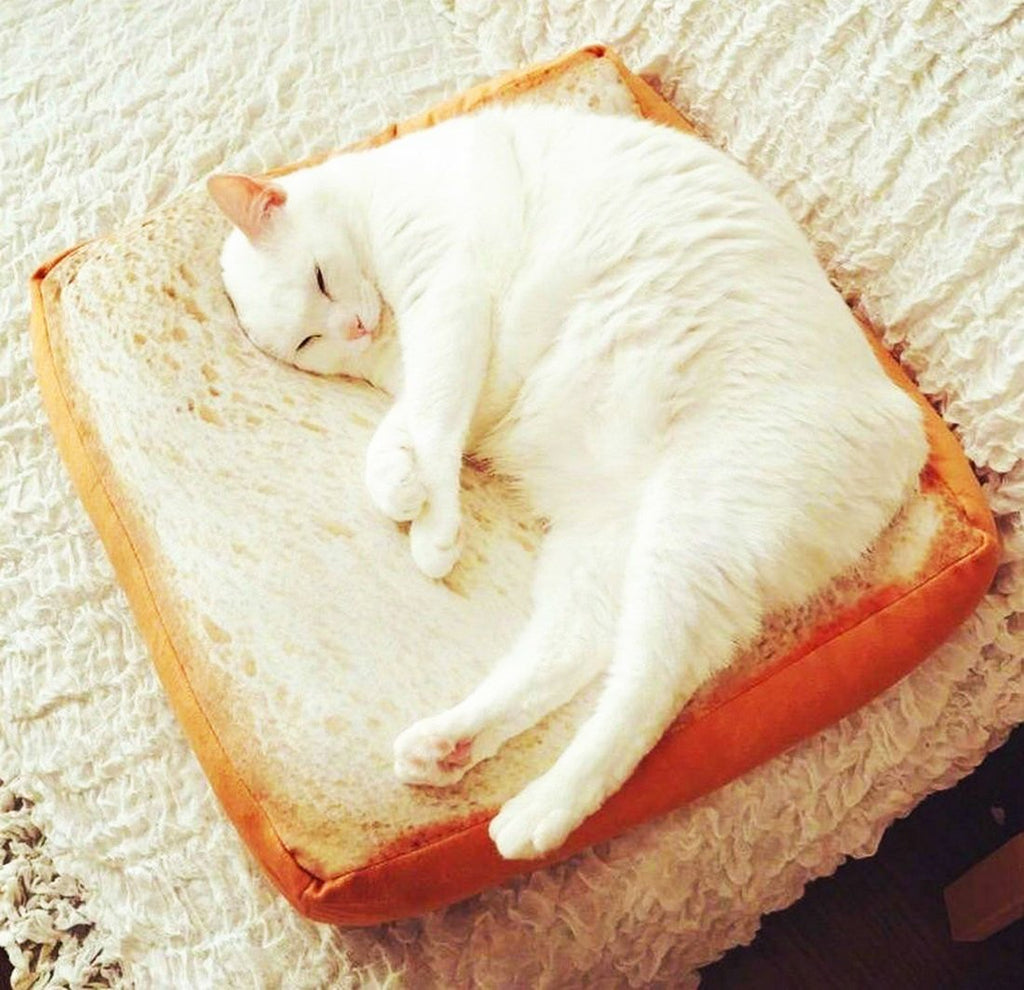 Gefryco Cat Beds for Indoor Cats, Pet Mats Cushion for Cat and Small Dogs Creative Toast Bread Slice Mattress (Sponge Core) - PawsPlanet Australia