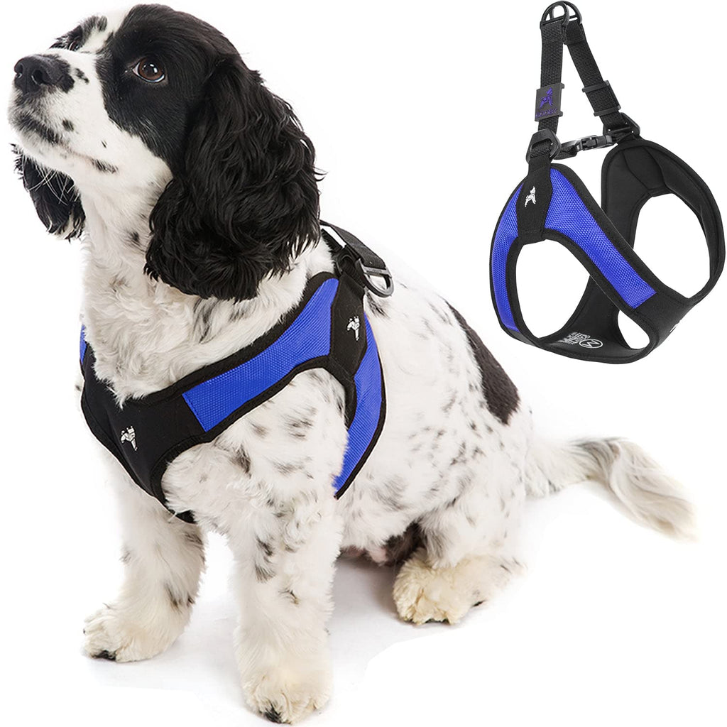 Gooby Escape Free Easy Fit Harness - No Pull Step-in Patented Small Dog Harness with Quick Release Buckle - On The Go No Pull Harness for Small Dogs or Medium Dog Harness for Indoor and Outdoor Use X-Small chest (15~17.25") Blue - PawsPlanet Australia