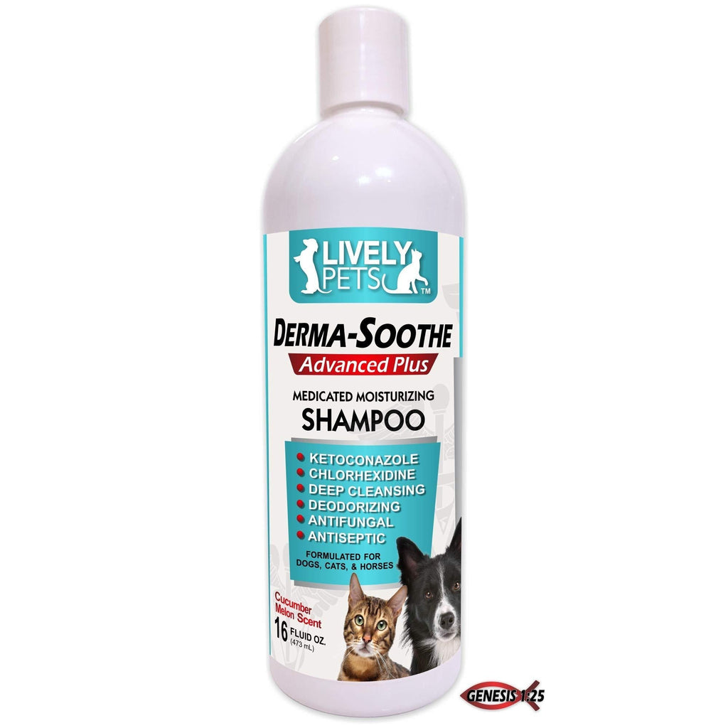 [Australia] - Medicated Dog Shampoo for Dogs and Cats | Ketoconazole, Chlorhexidine for Dry Skin, Yeast Infections, Dandruff, Mange, and Hot Spots - MAX STRENGTH Antifungal Shampoo 