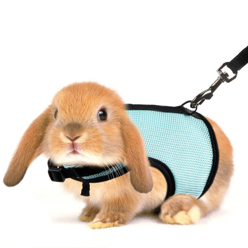 MEWTOGO 2 pcs Adjustable and Breathable Bunny Harness with M and L Size Blue 2 pack - PawsPlanet Australia