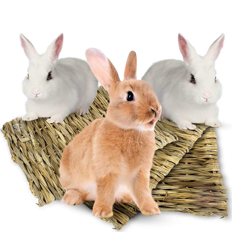 [Australia] - SunGrow Seagrass Rabbit Mat, 12x12 Inches, Edible, Handmade, Hay Mat for Sleeping, Chewing, Nesting, Great Boredom Buster, Rabbit Teeth Trimmer, Nutritious Snack 3-Pack 